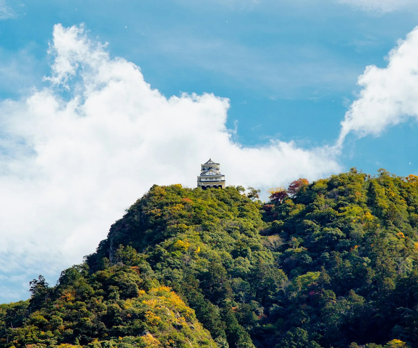 岐阜エリアの都市景観と川・水面、樹木の明るい風景。